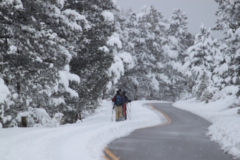 Visitors Enjoying Fresh-Snow in RMNP