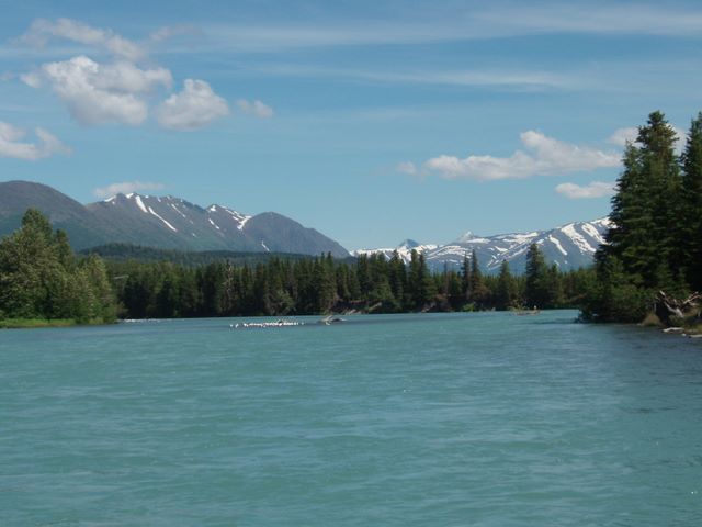 Kenai River