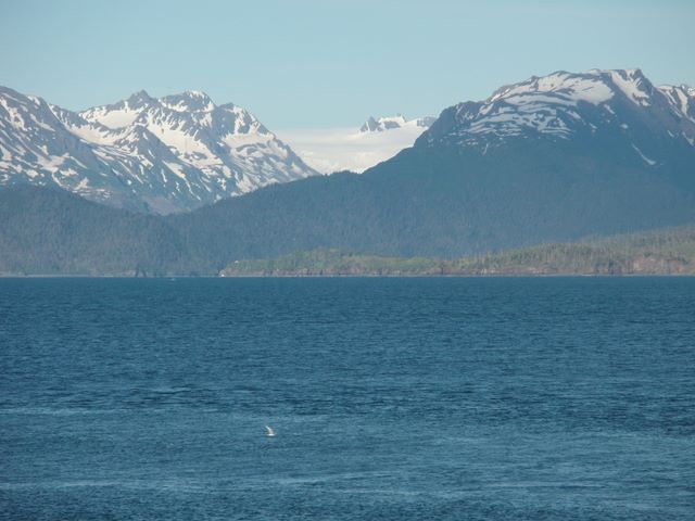 Kachemak Bay and Mountains Near Homer