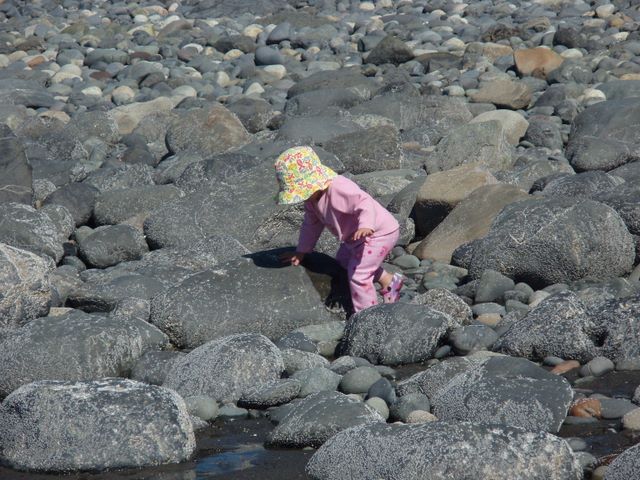 Cassidy on the Beach