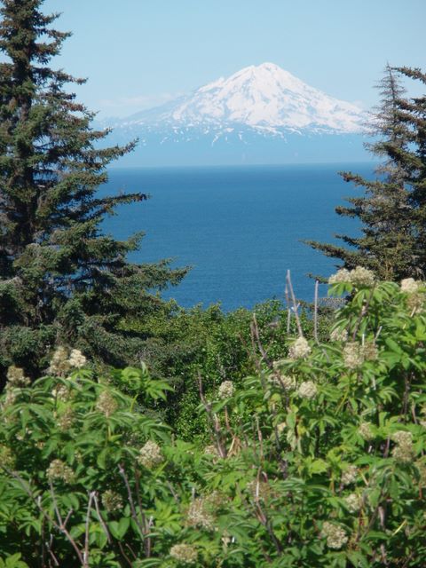 Mt Redoubt