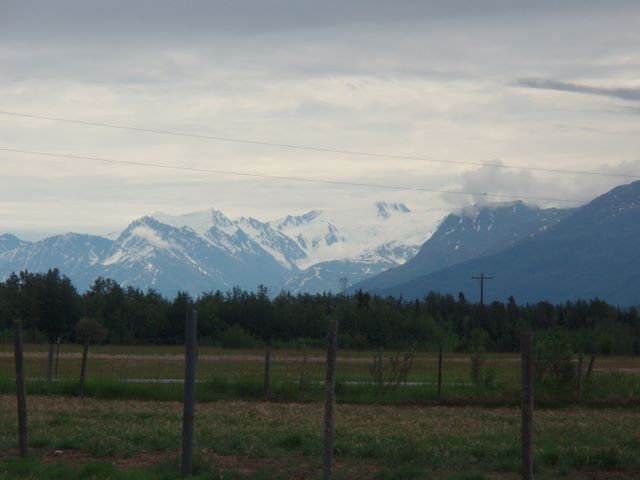 Looking Toward Knik Glacier from the Reindeer Farm