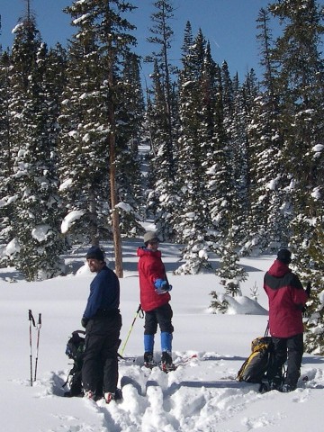 Getting Ready to Drop Into the Trees Below the Eiseman Hut