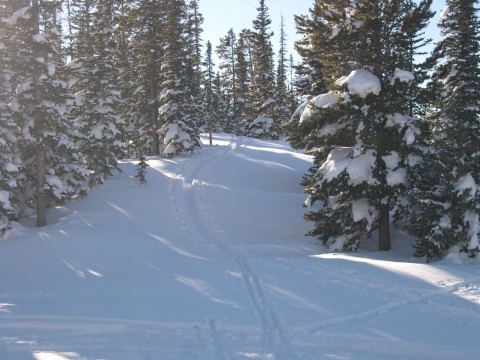 skiing image