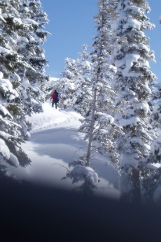 Ridge behind Eiseman Hut