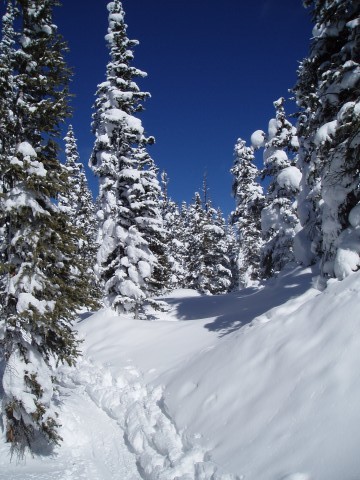 Ski trail up Ridge behind the Eiseman Hut