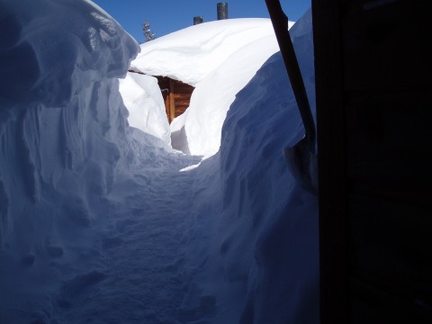 Path to the Eiseman Hut outhouse