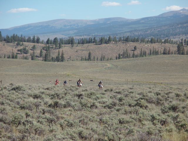 Leadville 100 Bottom of Columbine Climb Outbound