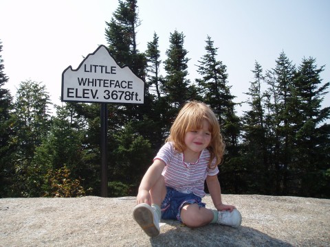 Whiteface ski area